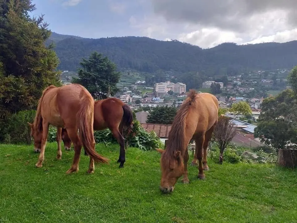 Gallways Holiday Home Nuwara Eliya