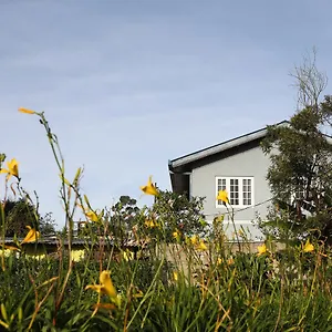 Pedro View Homestay